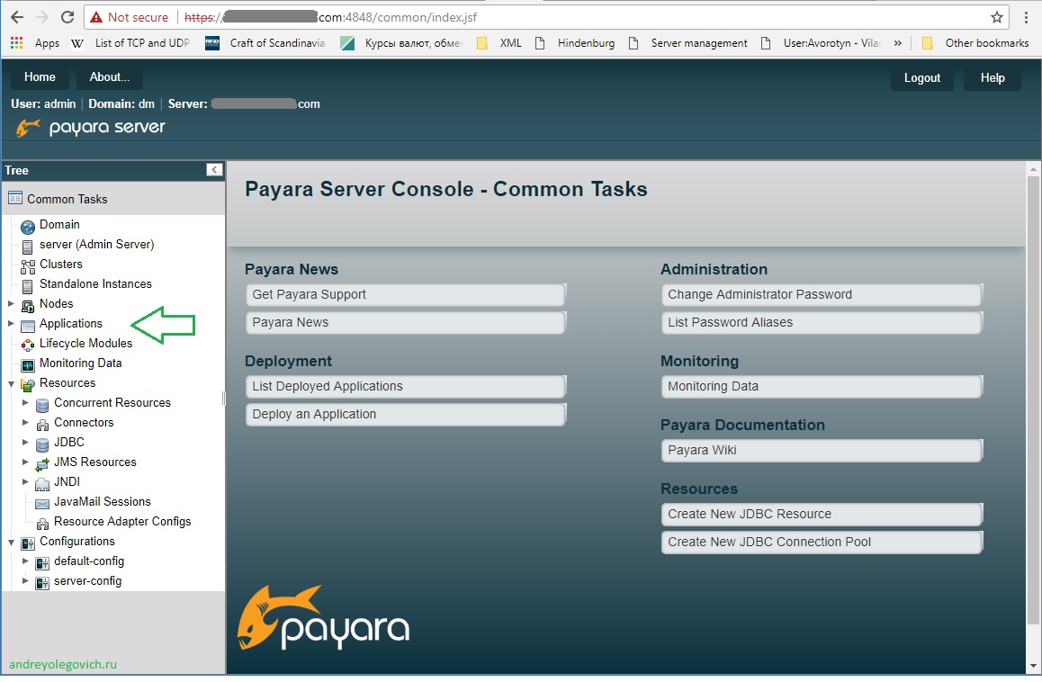Payara изображение с сайта www.aredel.com